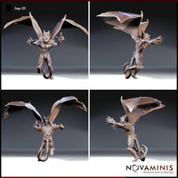 Imp Bundle by Novaminis