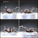 Phase Spider Bundle by Novaminis