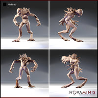 Nothic Bundle by Novaminis