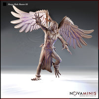 Harpy Hunter Bundle by Novaminis