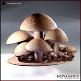 Giant Mushroom 01 by Novaminis