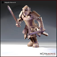 Hobgoblin Warrior Bundle by Novaminis