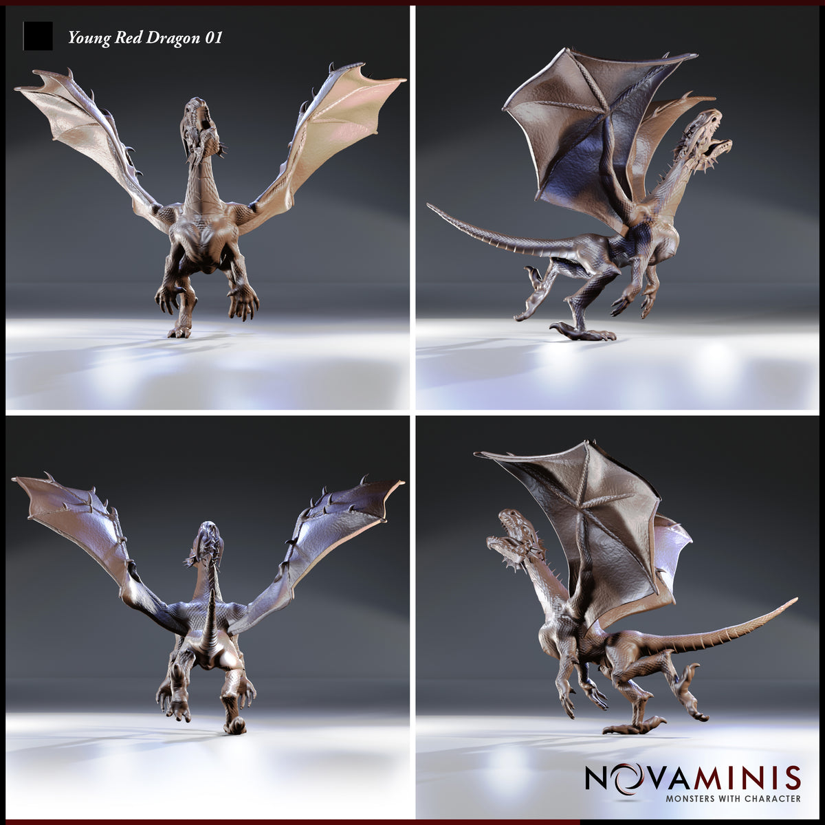 Young red dragon shown from four angles: front, rear, left and right — wings outstretched, jaws agape, taloned feet gripping the ground. Sculpt by Novaminis.