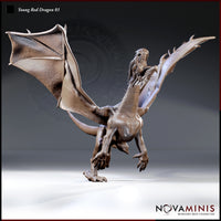 Young red dragon rearing on hind legs, wings fully spread, jaws open wide, forelimbs raised with splayed claws — heavily scaled body with ridged spine. Sculpt by Novaminis.