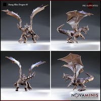 Young Blue Dragon by Novaminis shown from four angles — wings raised, muscular chest forward, brow-ridged snarling head lowered, ridged tail and leathery wing membranes visible from multiple sides.