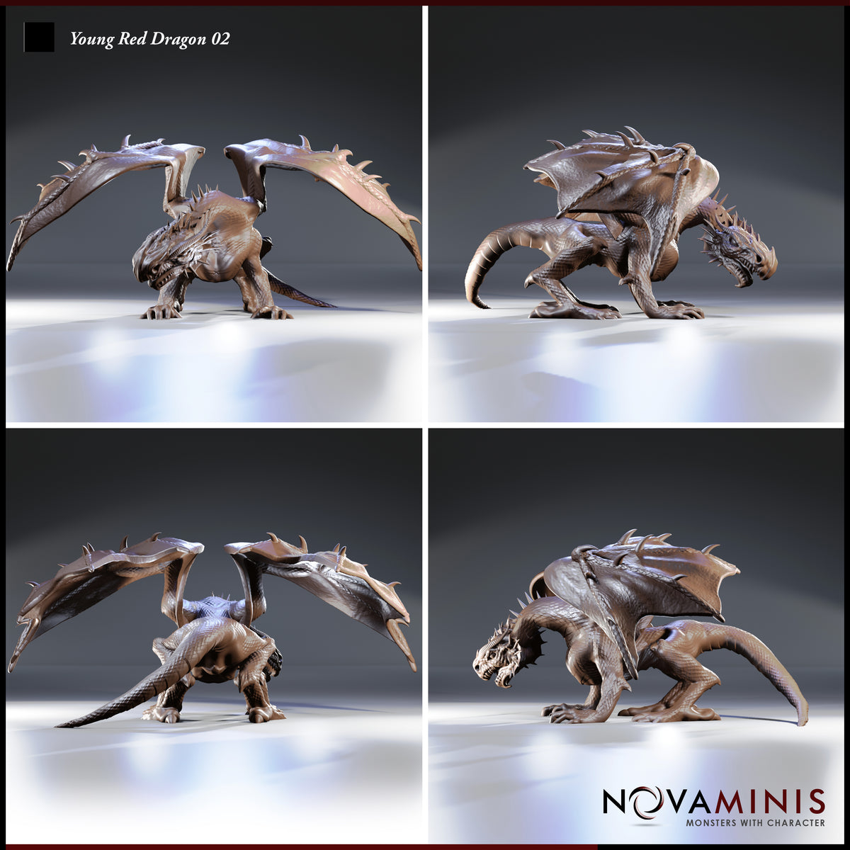 Young Red Dragon 02 by Novaminis — four angles showing fanned cranial spines, taut leathery wing membranes with hooked spur edges, powerful haunches, and fully rendered curved talons gripping the ground.