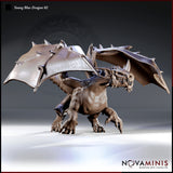 Young Blue Dragon 02 by Novaminis — stocky dragon crouched low, wings spread wide, jaws open in a snarl, thick clawed limbs planted on the ground, spiked wing edges and ridged tail visible.