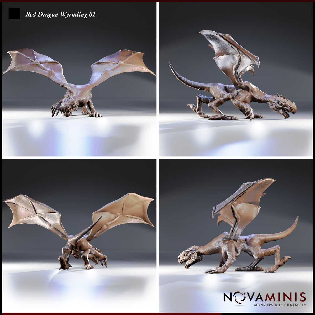 Red Dragon Wyrmling 01 by Novaminis — four angles showing wing membrane texture with bone spurs, ridged brow, overlapping belly scales, and low predatory stance with tail extended. Sculpt by Novaminis.