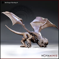 Red Dragon Wyrmling 01 by Novaminis — aggressive crouch, head thrust forward with open jaws, wings spread wide, deeply scaled hide, prominent horns, sharp claws extended. Sculpt by Novaminis.