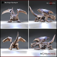Blue Dragon Wyrmling 04 by Novaminis — four-angle render showing the wyrmling from front, rear, and both sides: spiralling tail, leathery wing membranes, clawed feet splayed, snarling expression with bared teeth.
