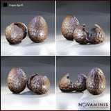 Four-angle grid of two dragon egg pieces by Novaminis — intact egg covered in overlapping scales beside a cracked egg split open, hollow inside visible from multiple viewpoints.