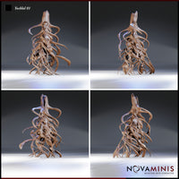 Yochlol 01 by Novaminis — four-angle turnaround showing the full tentacle mass from multiple sides, revealing deep recesses between curling limbs and the eyeless, upward-reaching head at the apex.