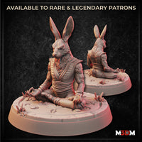 Digital render showing front and rear views of an unpainted Harengon monk miniature seated cross-legged in a meditation pose, wearing a layered gi with sash, on a scenic base with scattered stones and crystal outcroppings