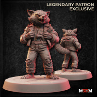 Raccoonfolk Rogue by Mia Kay M3DM