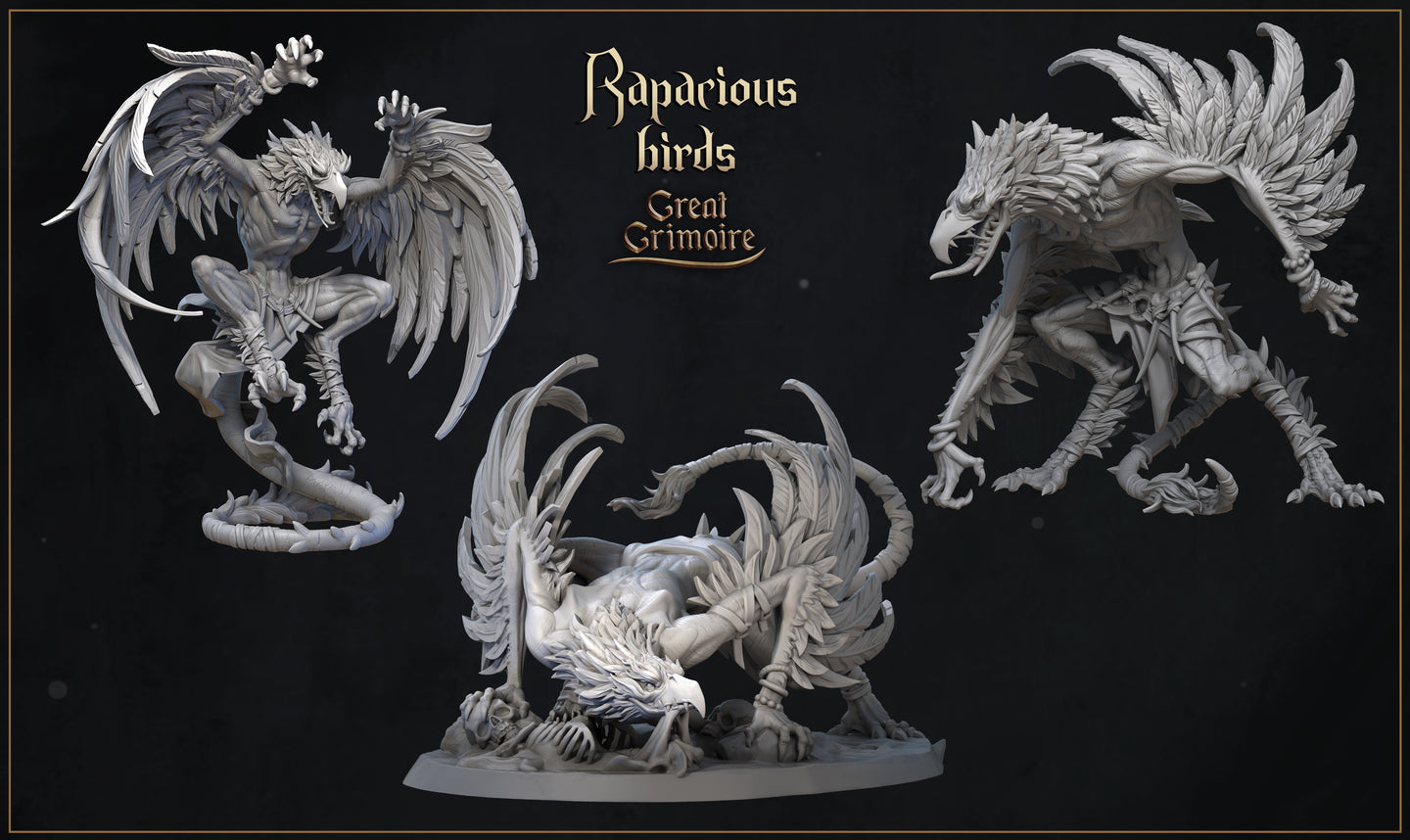 Rapacious Bird Bundle by Great Grimoire