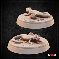 Two unpainted resin renders of the Salamander miniature by Mia Kay M3DM — both show the creature in a low resting pose on an oval lily pad base with water flower details; the upper variant has a smoother stylised head while the lower has expressive eyes and ear-like frills