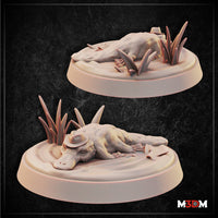 Two digital render views of the Secret Agent Platypus miniature — one from above showing the wide-brimmed hat and paddle tail amid marsh grass, one from the front showing the duck-billed snout, heavy-lidded eyes, and splayed claws on a textured oval riverside base. Unpainted resin finish.