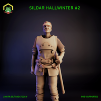 Veteran (Sildar Hallwinter) by The Toadstool Weaver