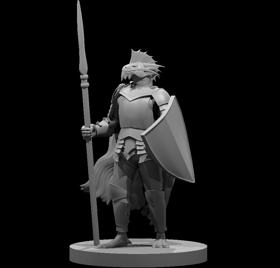 Grey resin render of a silver dragonborn male paladin miniature at 32mm scale, standing in a composed guard stance. He wears fitted plate armour with articulated gauntlets and greaves, holds a tall spear in his left hand, and carries a large kite shield in his right. A flowing cloak trails behind him. His scaled head features prominent dorsal frills and a reptilian face. The miniature is unprimed and unpainted, mounted on a round base.