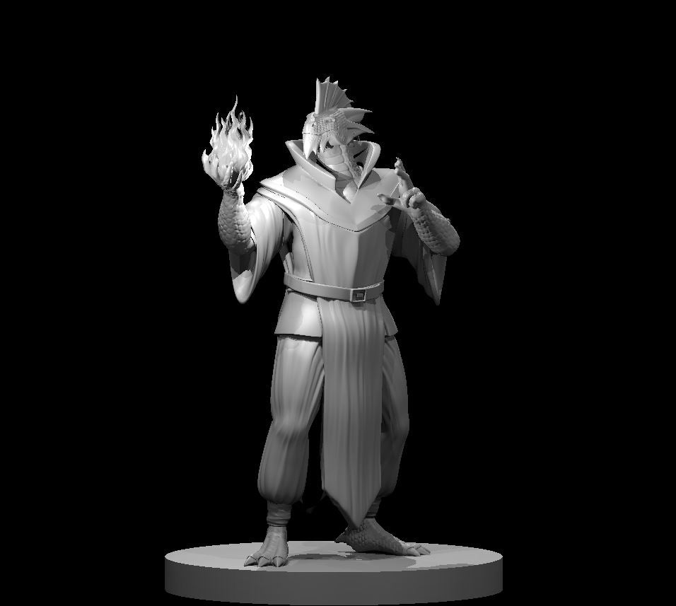 Silver Dragonborn Sorcerer by MZ4250