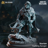 Rear view of a halfling ranger miniature showing a sweeping travel cloak with etched hem detail, crossbow visible at his side, atop a rocky base scattered with fallen leaves. Sculpt by DM Stash.