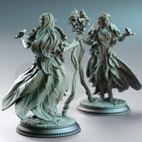 Feywalker Caster (Synoria the Noble Hearted) by DM Stash