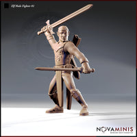 32mm resin miniature render of an elven male fighter in chainmail and studded leather armour, dual-wielding two longswords — right sword raised overhead in a striking pose, left sword extended forward — with ornate flame-motif chest detailing and a focused, determined expression. Unpainted render by Novaminis.