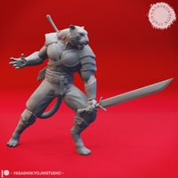 Tabaxi Bundle by Yasashii Kyojin Studios