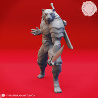 Tabaxi Bundle by Yasashii Kyojin Studios