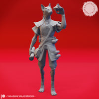Tabaxi Bundle by Yasashii Kyojin Studios