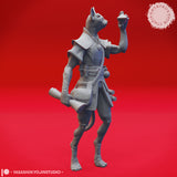 Tabaxi Bundle by Yasashii Kyojin Studios