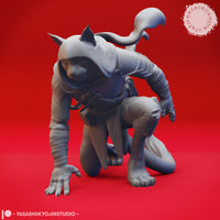 Tabaxi Bundle by Yasashii Kyojin Studios