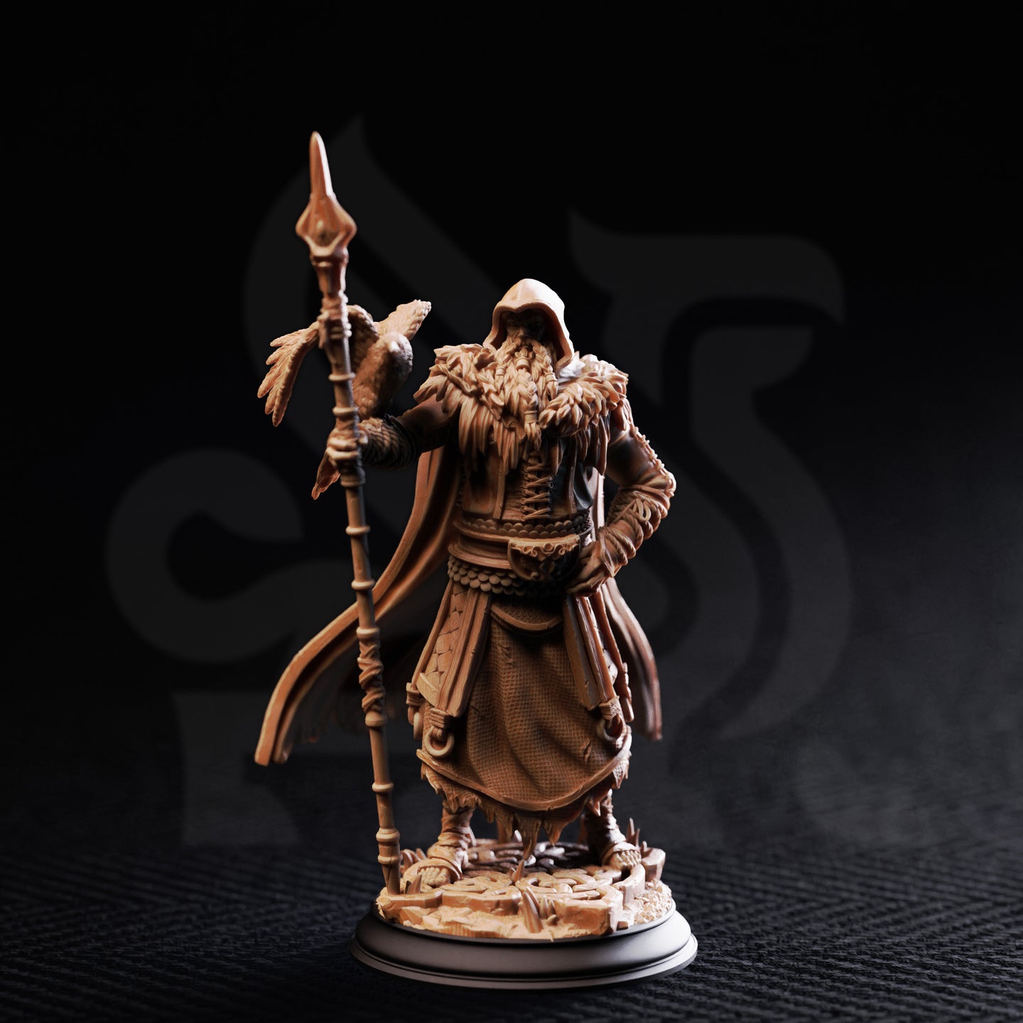 Wanderer (The One Eyed ) by DM Stash