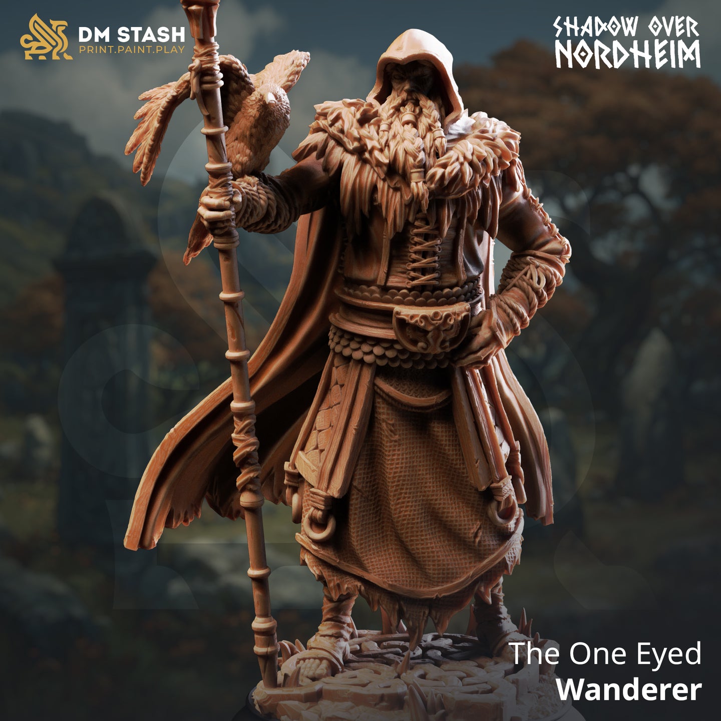 Wanderer (The One Eyed ) by DM Stash