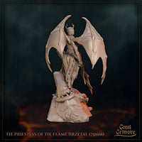 Lizardfolk Priestess of the Flame Iirzetal by Great Grimoire