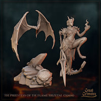 Lizardfolk Priestess of the Flame Iirzetal by Great Grimoire