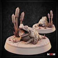 Digital render of two warty toad miniatures by Mia Kay M3DM — one with mouth wide open mid-croak, one resting low and watchful, both on scenic bases with bulrushes and marsh grass, shown in unpainted resin
