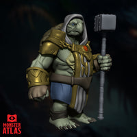 Tortle Cleric by Monster Atlas