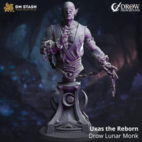 Drow Lunar Monk (Uxas the Reborn) Bust  by DM Stash