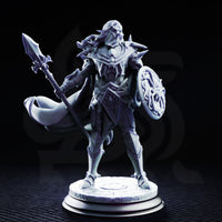 Elite Drow Warrior A (Vessel of Irinax) by DM Stash
