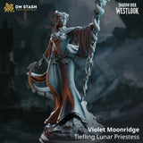 Rear view of Violet Moonridge by DM Stash — flowing layered robes with beaded cape edge, tiefling tail curving outward, serpent-covered staff extended overhead, splayed fingers on the free hand.