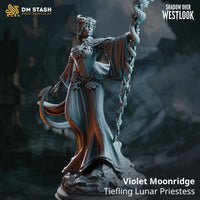 Rear view of Violet Moonridge by DM Stash — flowing layered robes with beaded cape edge, tiefling tail curving outward, serpent-covered staff extended overhead, splayed fingers on the free hand.