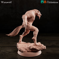 Werewolf by Atlanticus Arts