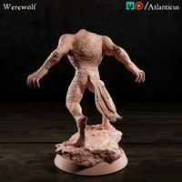 Werewolf by Atlanticus Arts