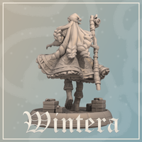 Wintera Elf Snow Wizard by Dungeons & Maidens