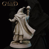 Rear view of the same unpainted grey resin sage miniature showing the flowing back of his hood and cloak, geometric hem embroidery, and orb-tipped staff — Queen's Guard Sage 01 by Galaad Miniatures