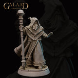 Front view of an unpainted grey resin miniature of an elderly hooded sage in layered robes, holding an orb-tipped quarterstaff in one hand and raising the other in a warning gesture, mounted on a cracked flagstone base — Queen's Guard Sage 01 by Galaad Miniatures