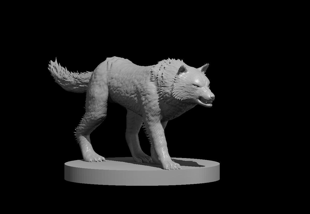 Grey resin digital render of a 32mm wolf miniature in a low stalking pose, hackles raised along the spine and neck, teeth bared, tail bristling upright, mounted on an oval base — viewed from a three-quarter front angle