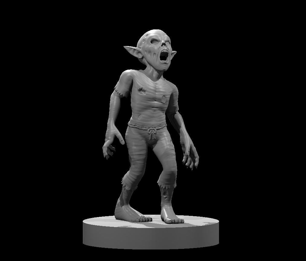 Zombie Gnome 1 MM2025 by MZ4250