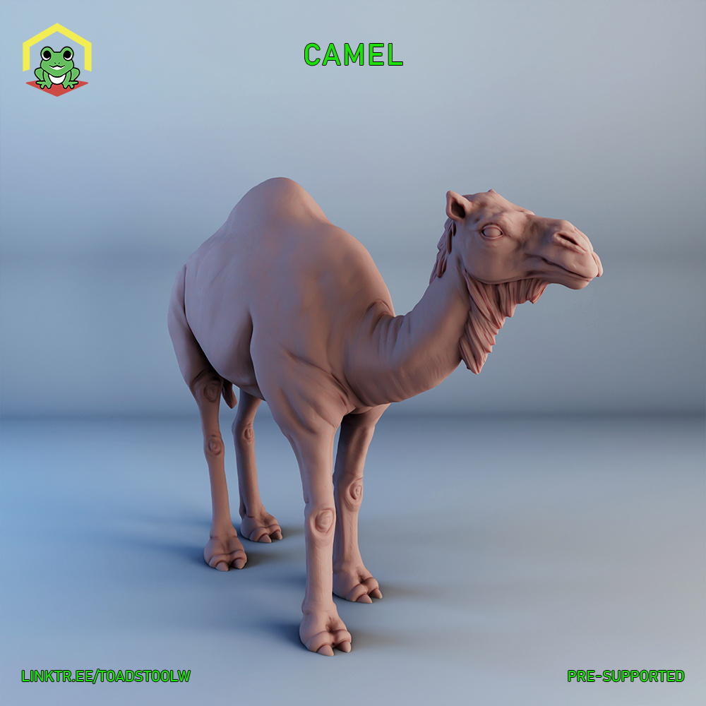 Camel by The Toadstool Weaver